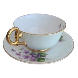 Royal Grafton Fine Bone China Tea Cup Saucer Set Robins Egg Blue Cottagecore